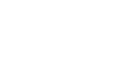 Comicon - Cliente Digital Seeds Software House Napoli